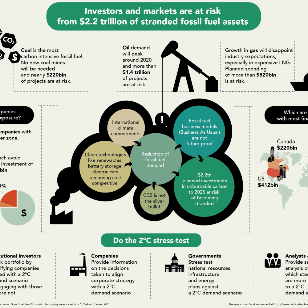 Conference 5 Nov | Stranded Assets